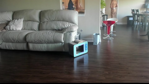 bigdicktrannynicole  20-08-2022
